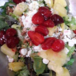 Twisted Rootz Cibo