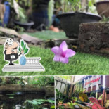บ้านนมขนม Cibo