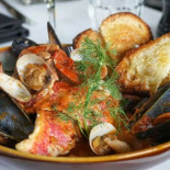 Ecco Cibo