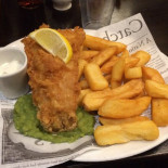 Lady Bay Cibo