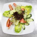 Costa Cibo