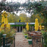 Brumaire Cibo