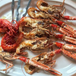 Mendata Cibo