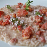 Buscone Comida