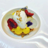 4 Ciance Essen