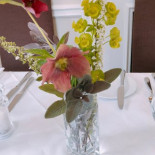Two Aa Rosette Cibo