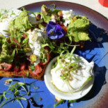 Linea Cafe Cibo