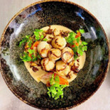 Sterenn Cibo