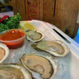 Osterville Fish Cibo