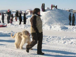 Plage Publique Le Rigolet food