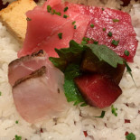 Hinoki Cibo