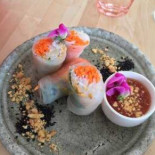 Trixie's Cibo