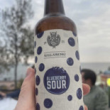 Ravintola Saari Cibo