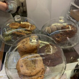 Les Exploratrices Cibo
