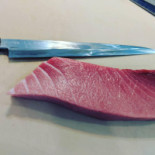 Simple Fish Cibo