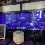 Sonoda's Sushi Seafood Cibo