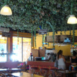 Maya Salvaje Cibo