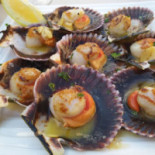 Elexalde Cibo