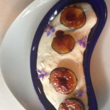 Terre Cibo