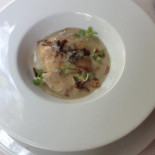 Terre Cibo