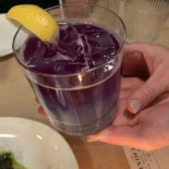 The Bindery Cibo