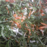 Lagassi Cibo