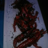 Antic Cibo