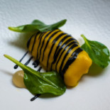 SÁLA de João Sá Cibo