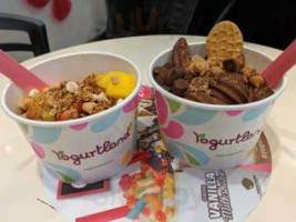 Yogurtland food