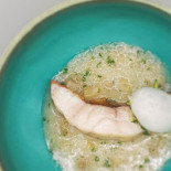 Requinquer Cibo