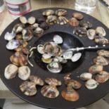 La Pastinaca Essen