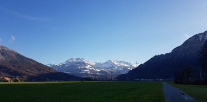 Landgasthof Sternen food