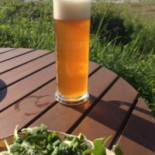 Strandoase Cibo