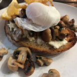 Spout Cibo
