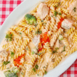 Benvenuto Cibo