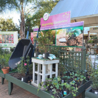 Greenside Nursery inside