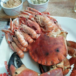 Brest Cibo