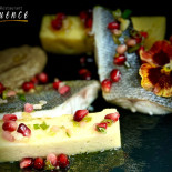 Influence Cibo