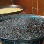 Mateu Cibo