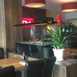 Shalimar Indisches Restaurant & Cocktailbar Cibo