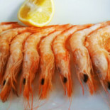 Mariscos Choco Cibo