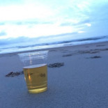 Silver Surf Cibo
