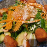 Alex Solingen Cibo