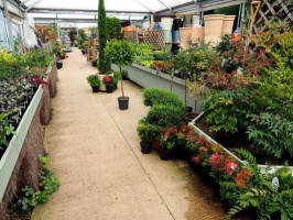 Wyatt's Plant Centre outside