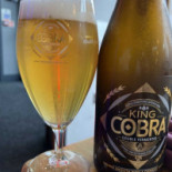 Akbar Cibo