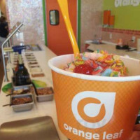 Orange Leaf Frozen Yogurt food