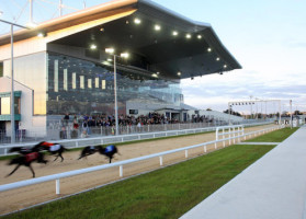 Limerick Greyhound Stadium inside