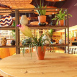 Giraffe Cibo