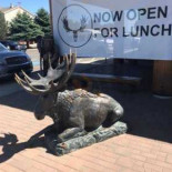 Rusty Moose Esterno