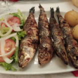 Estaca Zero Cibo